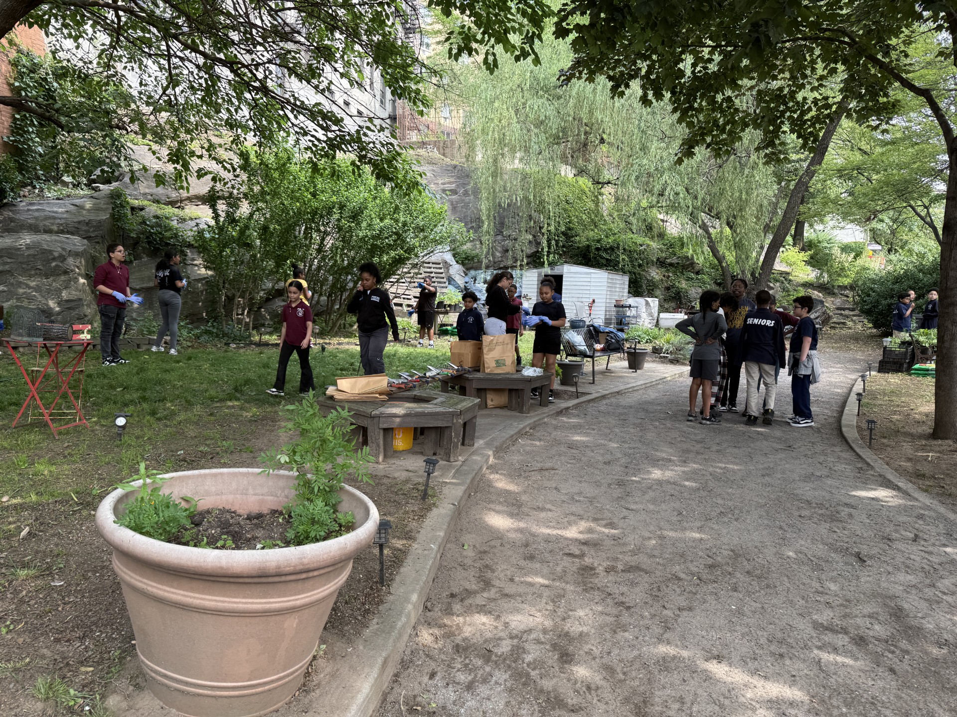 District 9 Day of Community Service - photo 2